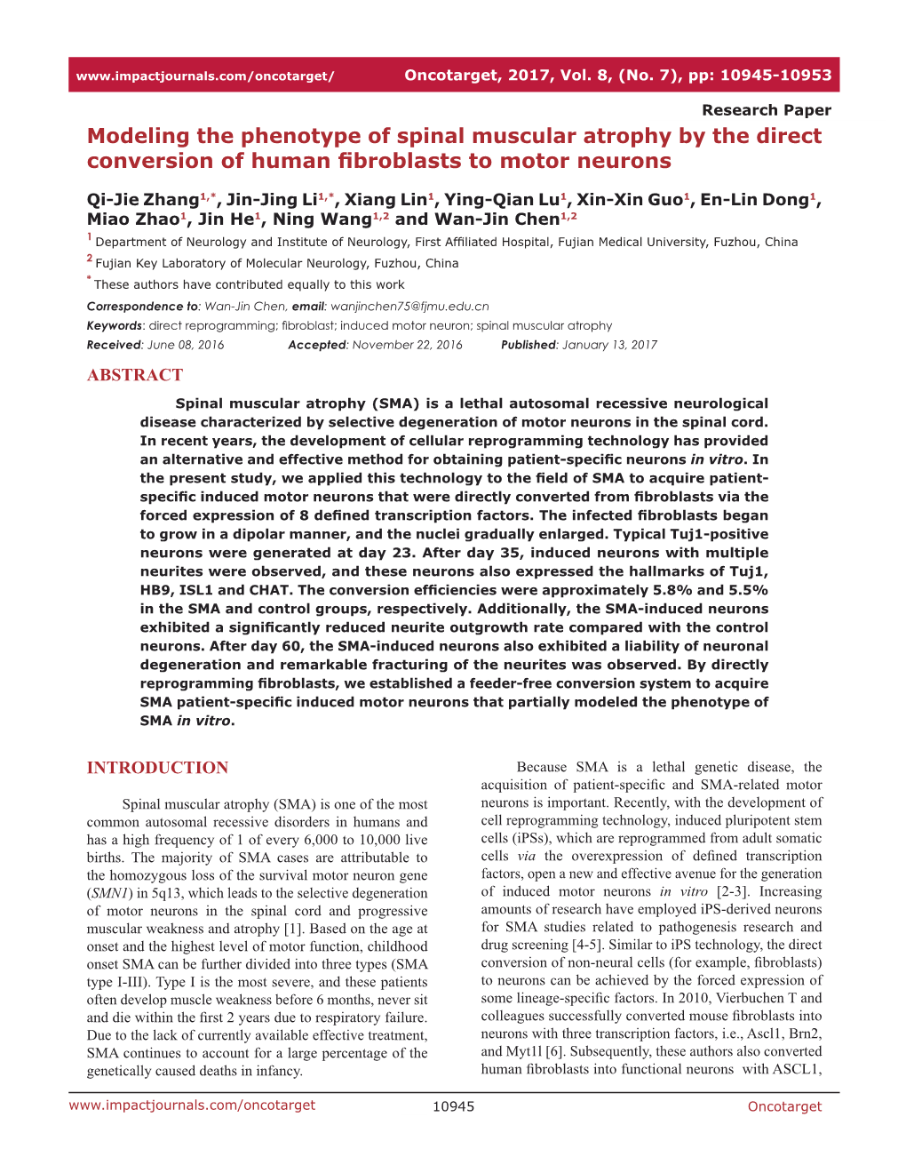 Modeling the Phenotype of Spinal Muscular Atrophy by the Direct Conversion of Human Fibroblasts to Motor Neurons