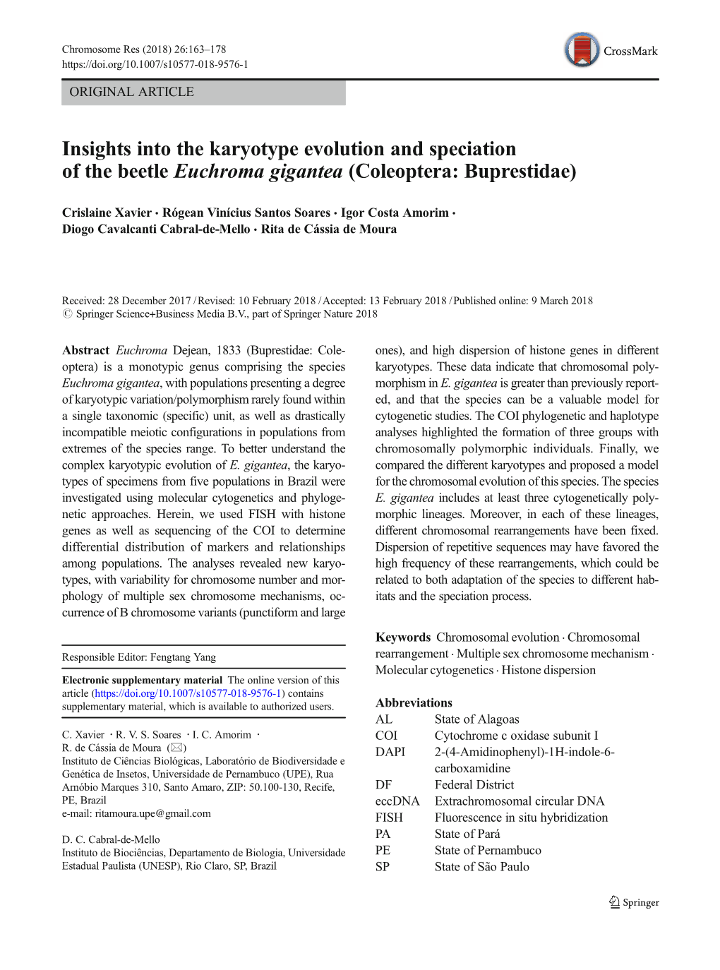 Insights Into the Karyotype Evolution and Speciation of the Beetle Euchroma Gigantea (Coleoptera: Buprestidae)