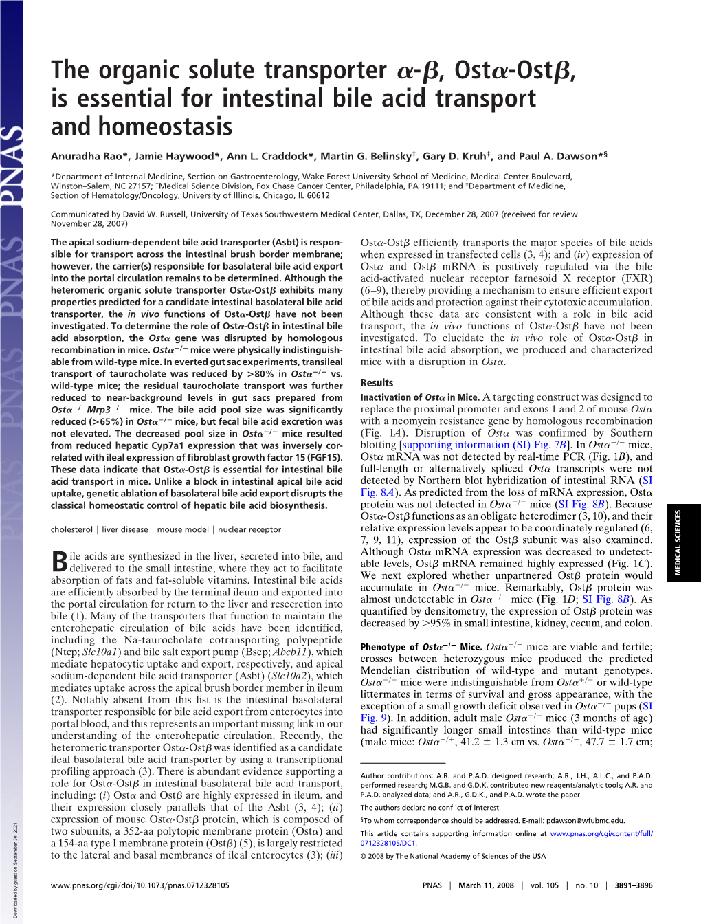 Ost , Is Essential for Intestinal Bile Acid Transport and Homeostasis