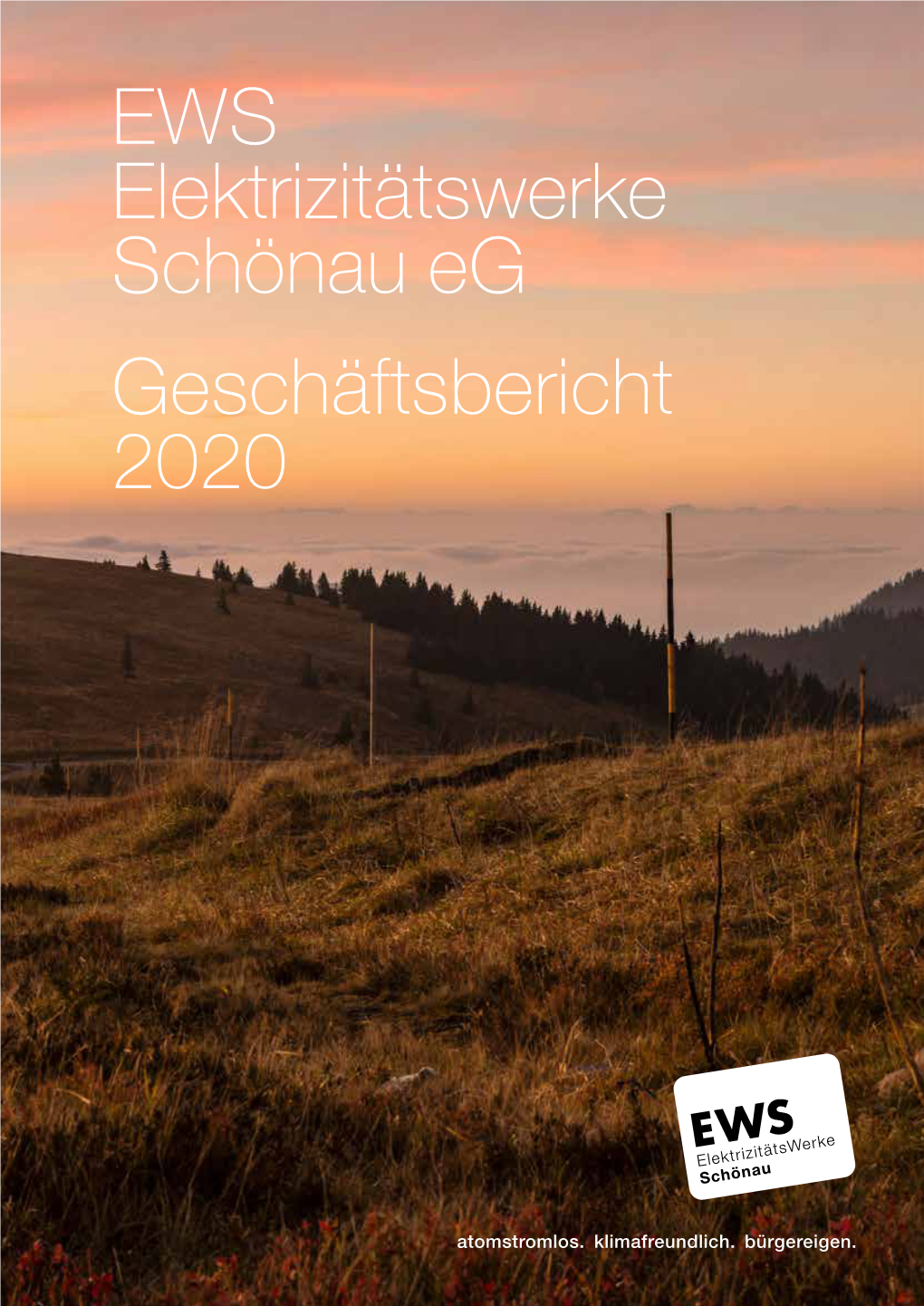 Geschäftsbericht 2020 – Mit Einzelabschluss