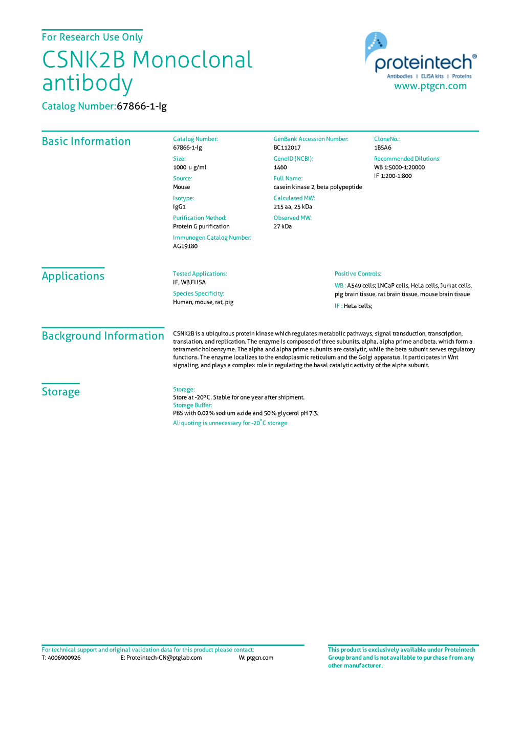 CSNK2B Monoclonal Antibody Catalog Number:67866-1-Ig