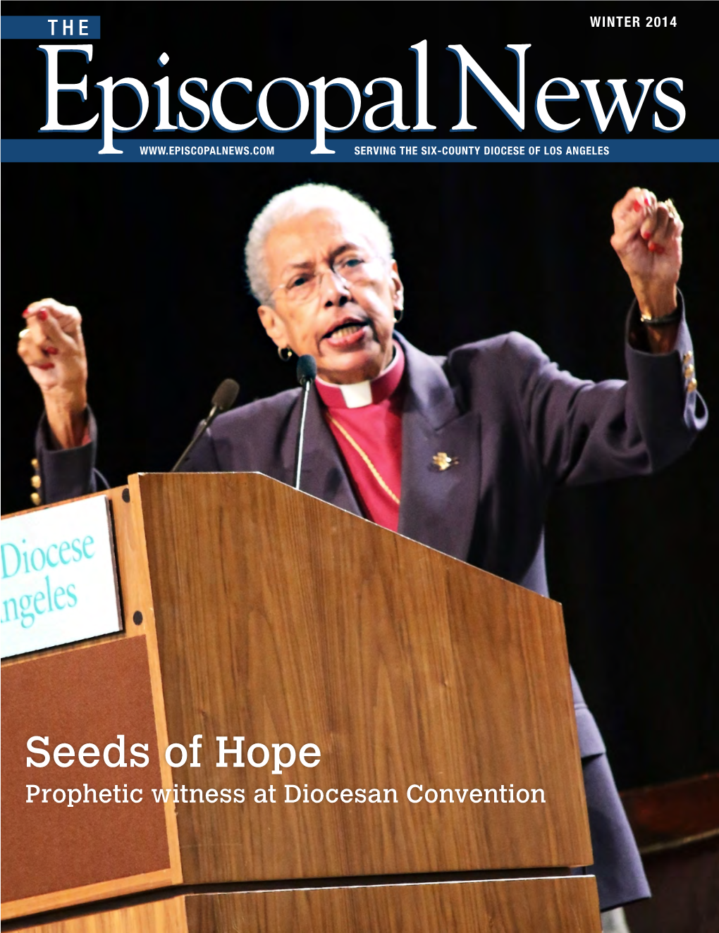 Seeds of Hope Prophetic Witness at Diocesan Convention