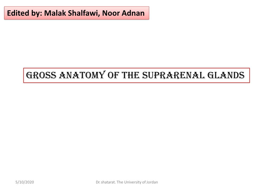Gross Anatomy of the Suprarenal Glands