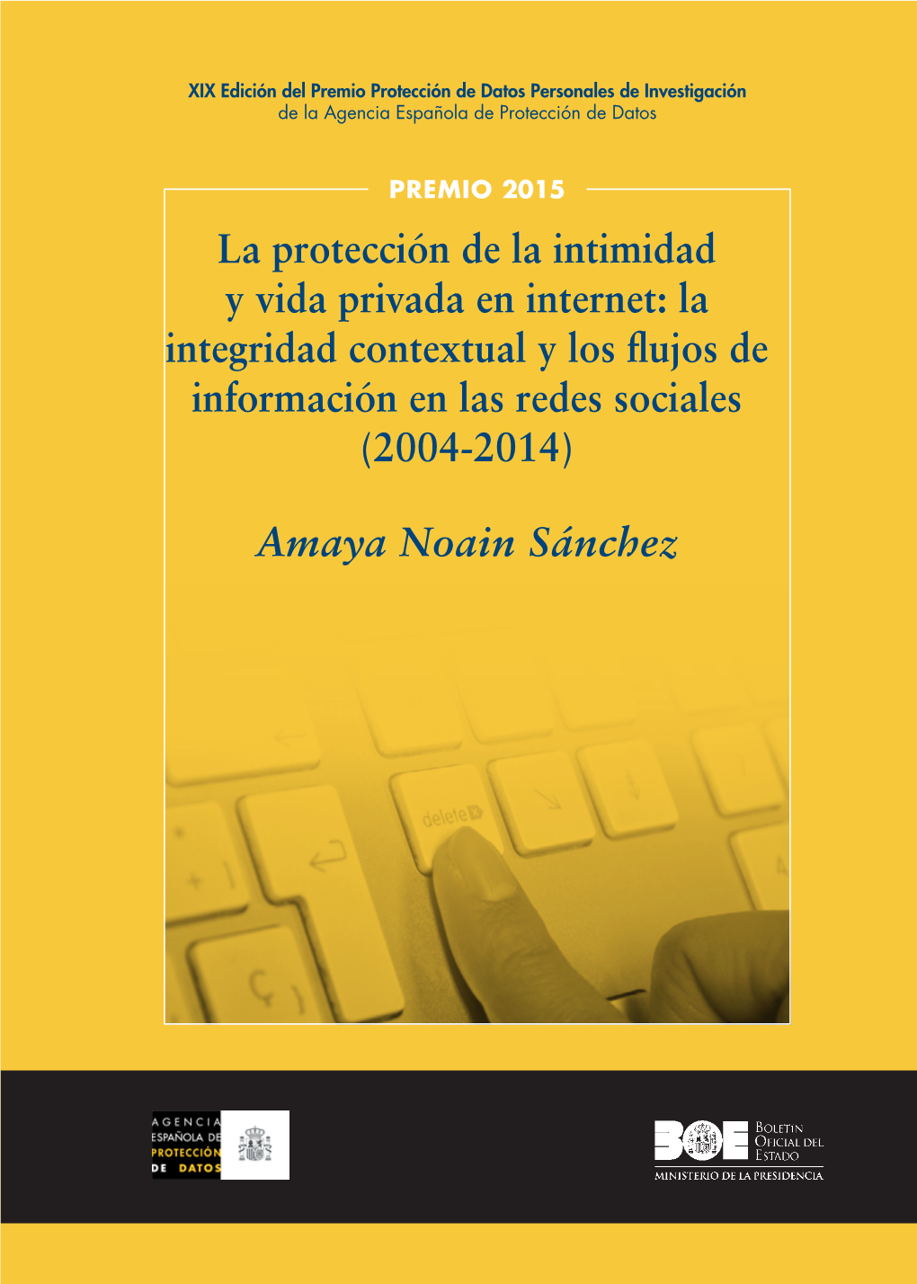 La Protección De La Intimidad Y Vida Privada En Internet La Integridad