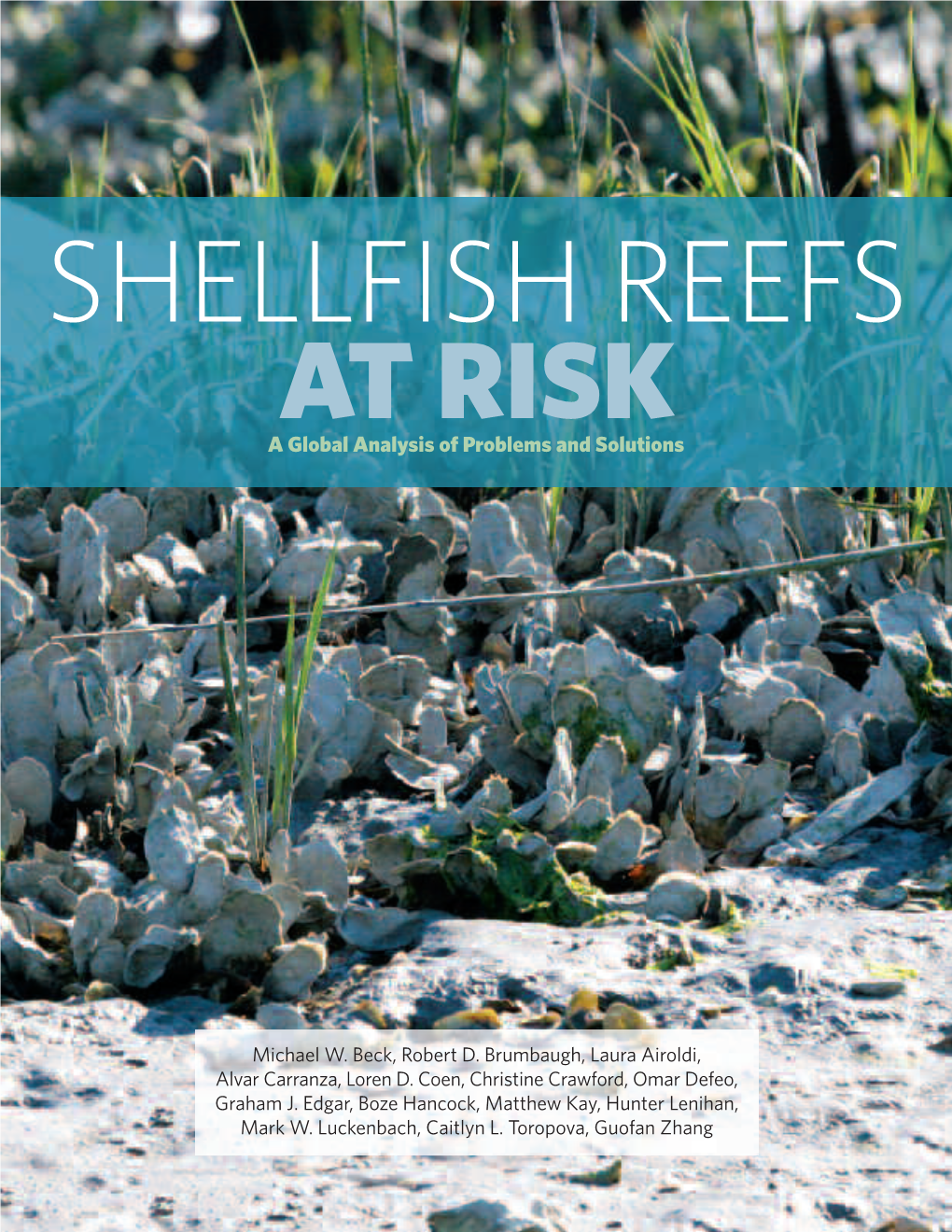 Shellfish Reefs at Risk