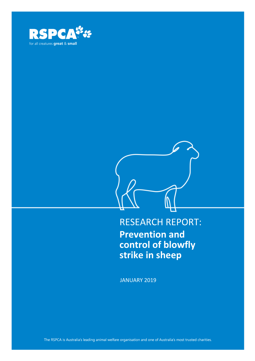 Prevention and Control of Blowfly Strike in Sheep