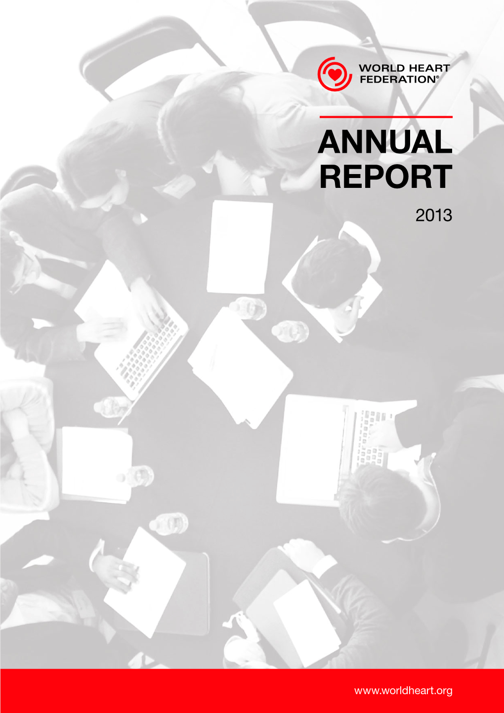 Annual Report 2013