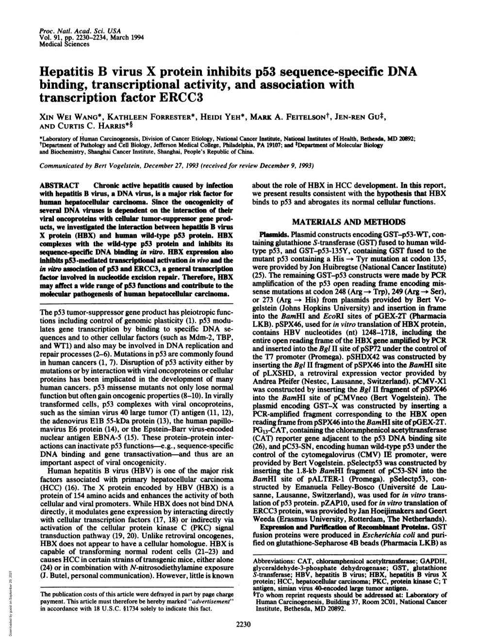 Hepatitis B Virus X Protein Inhibits P53 Sequence-Specific DNA Binding