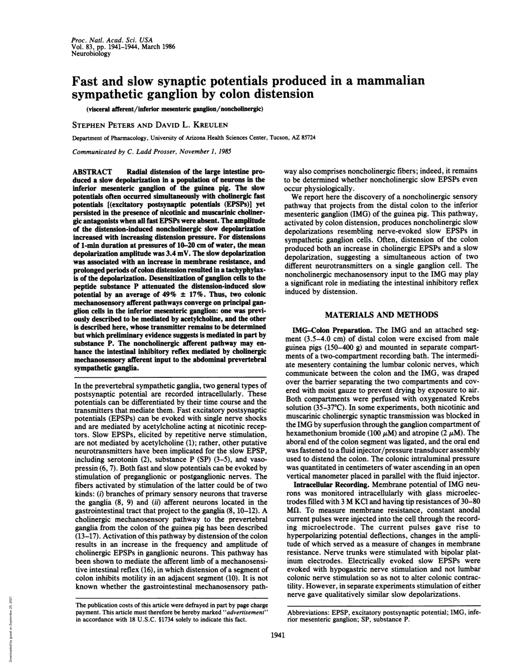 Fast and Slow Synaptic Potentials Produced Ina Mammalian