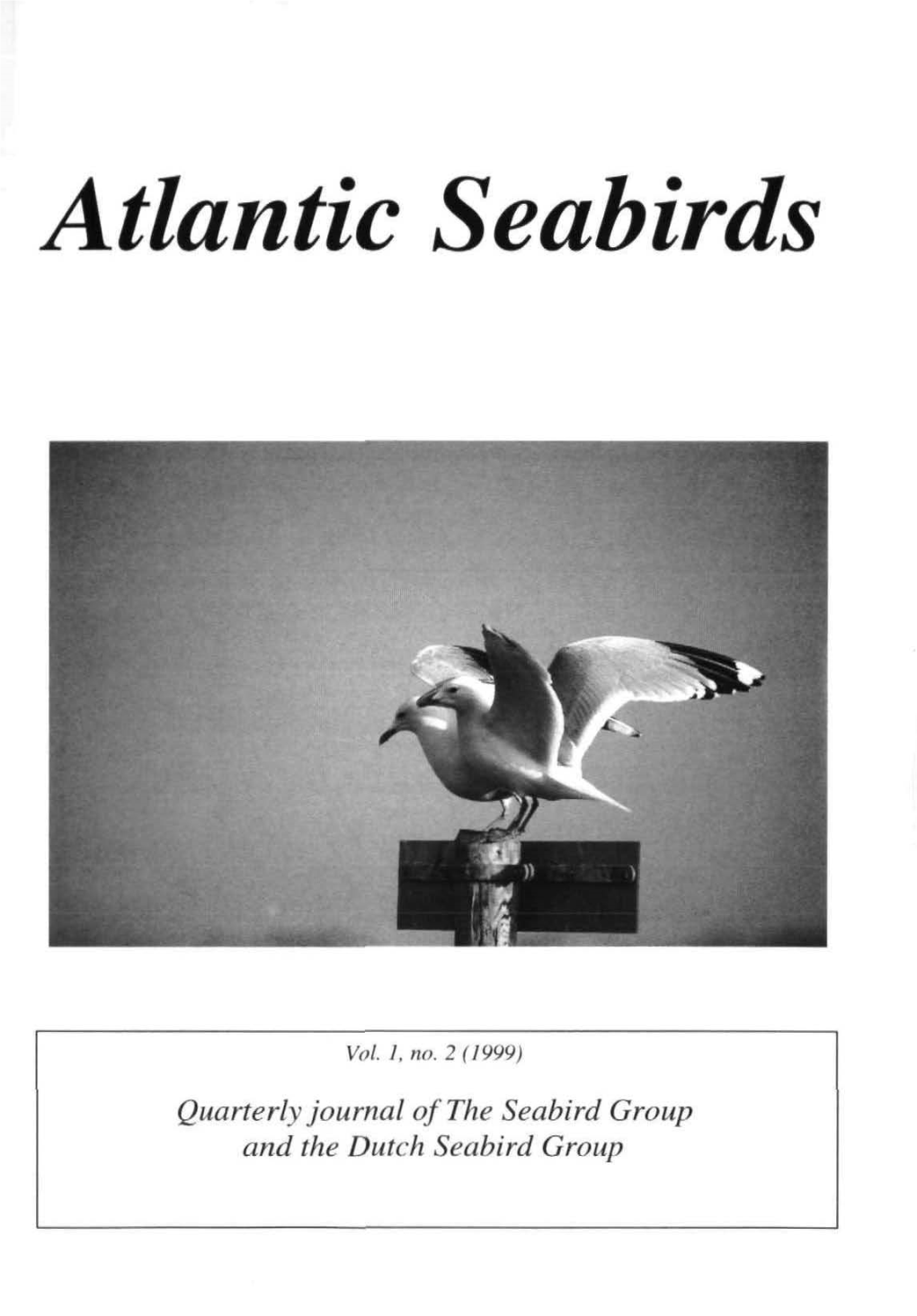 Atlantic Seabirds