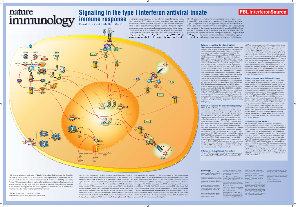 Signaling in the Type I Interferon Antiviral Innate Immune Response