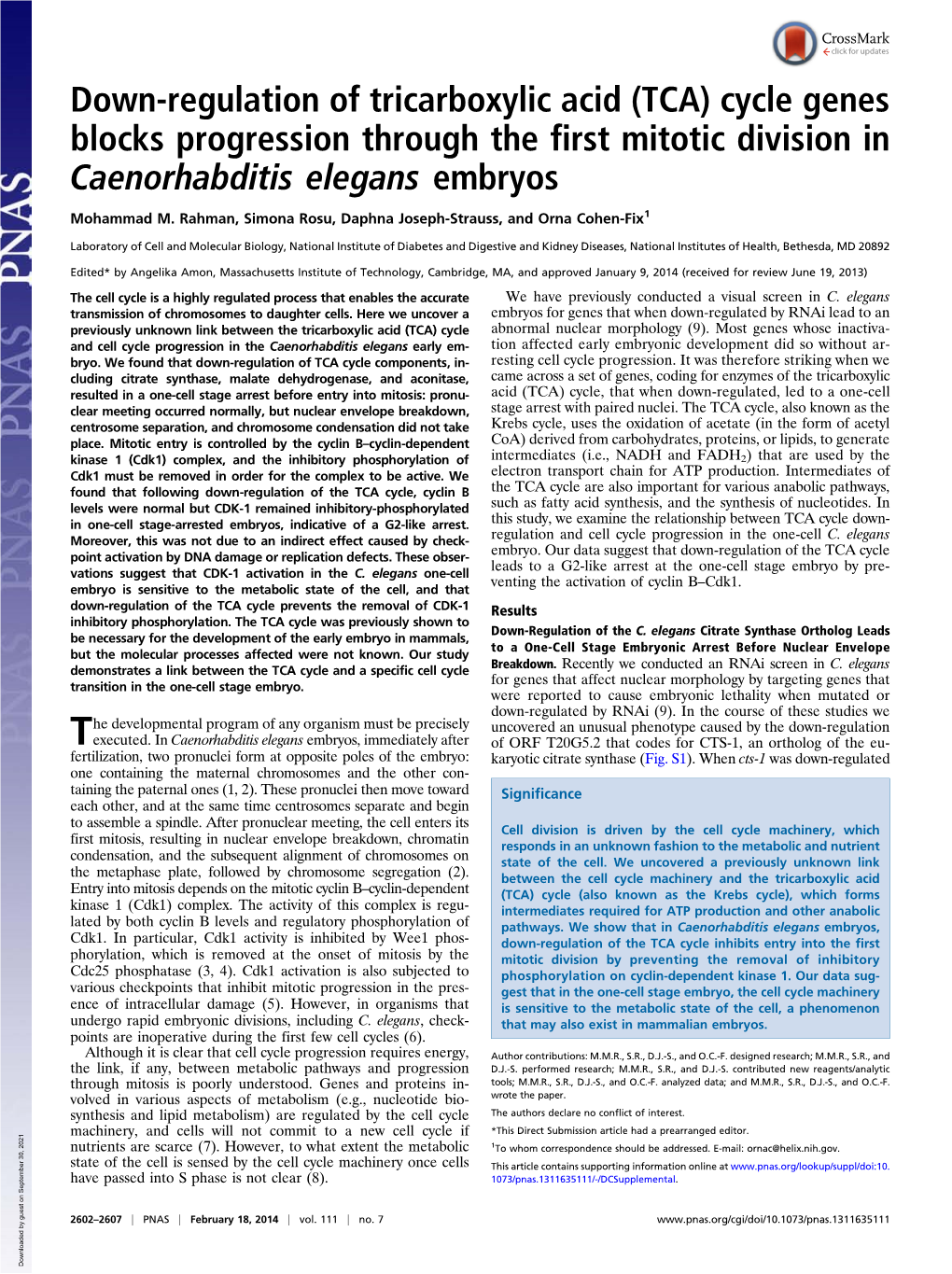 Down-Regulation of Tricarboxylic Acid (TCA) Cycle Genes Blocks Progression Through the First Mitotic Division in Caenorhabditis Elegans Embryos