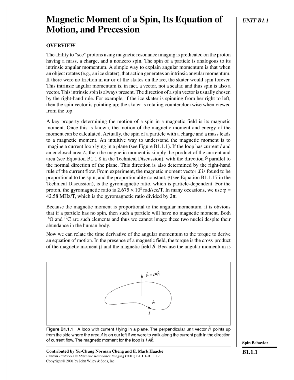 Magnetic Moment of a Spin, Its Equation of Motion, and Precession B1.1.6