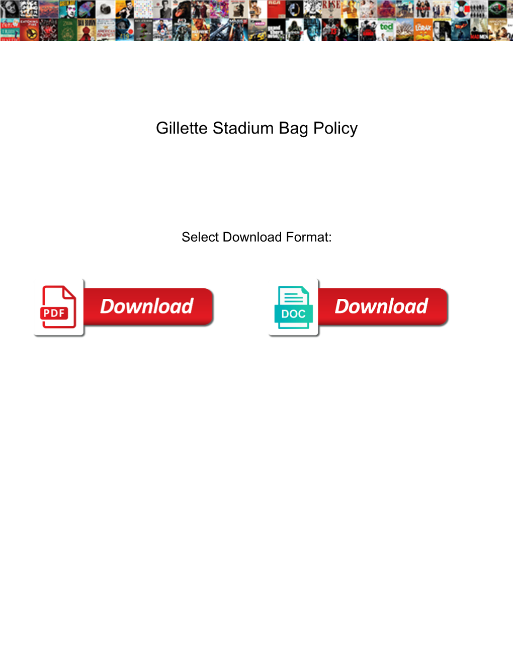 Gillette Stadium Bag Policy