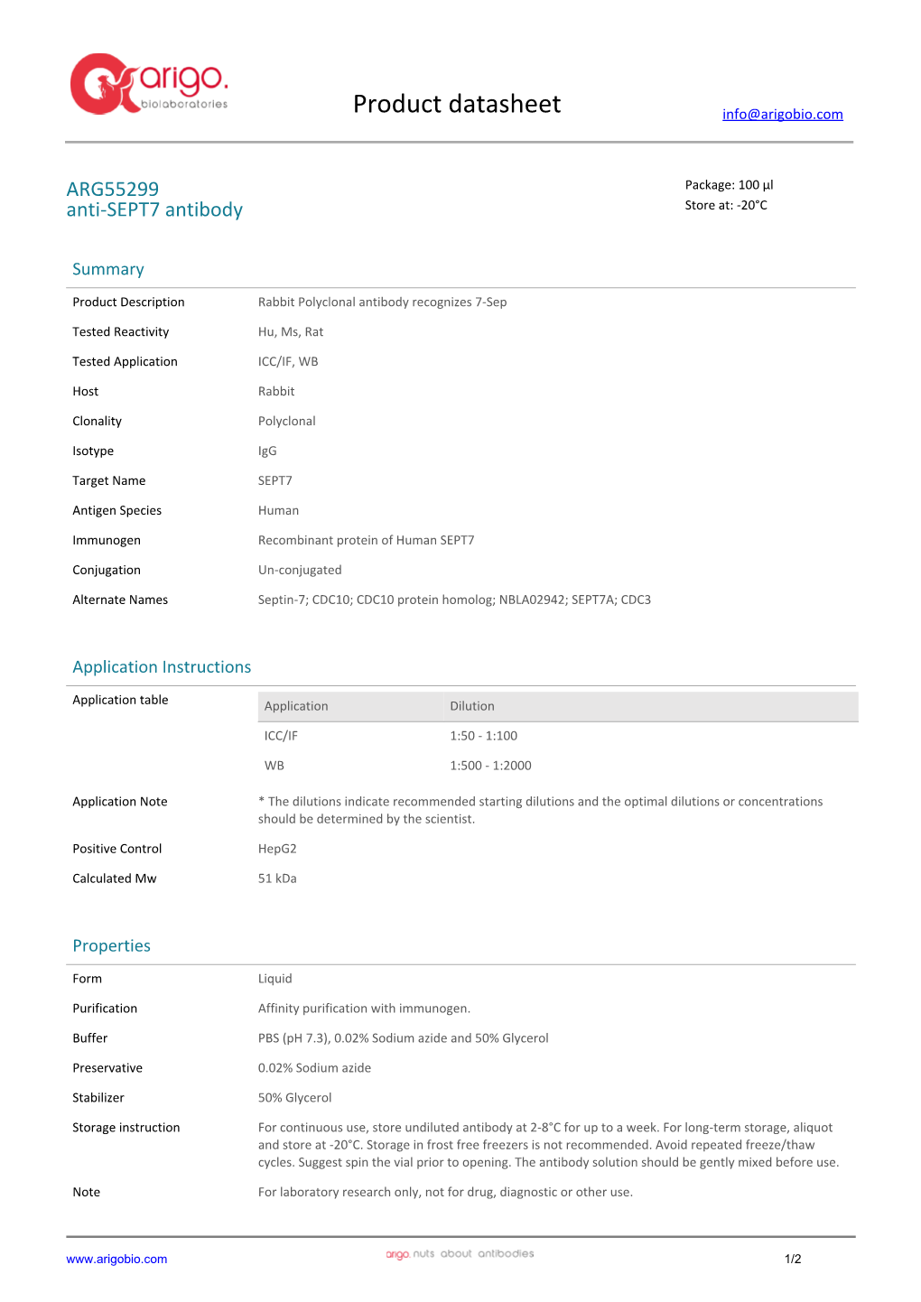 Anti-SEPT7 Antibody (ARG55299)