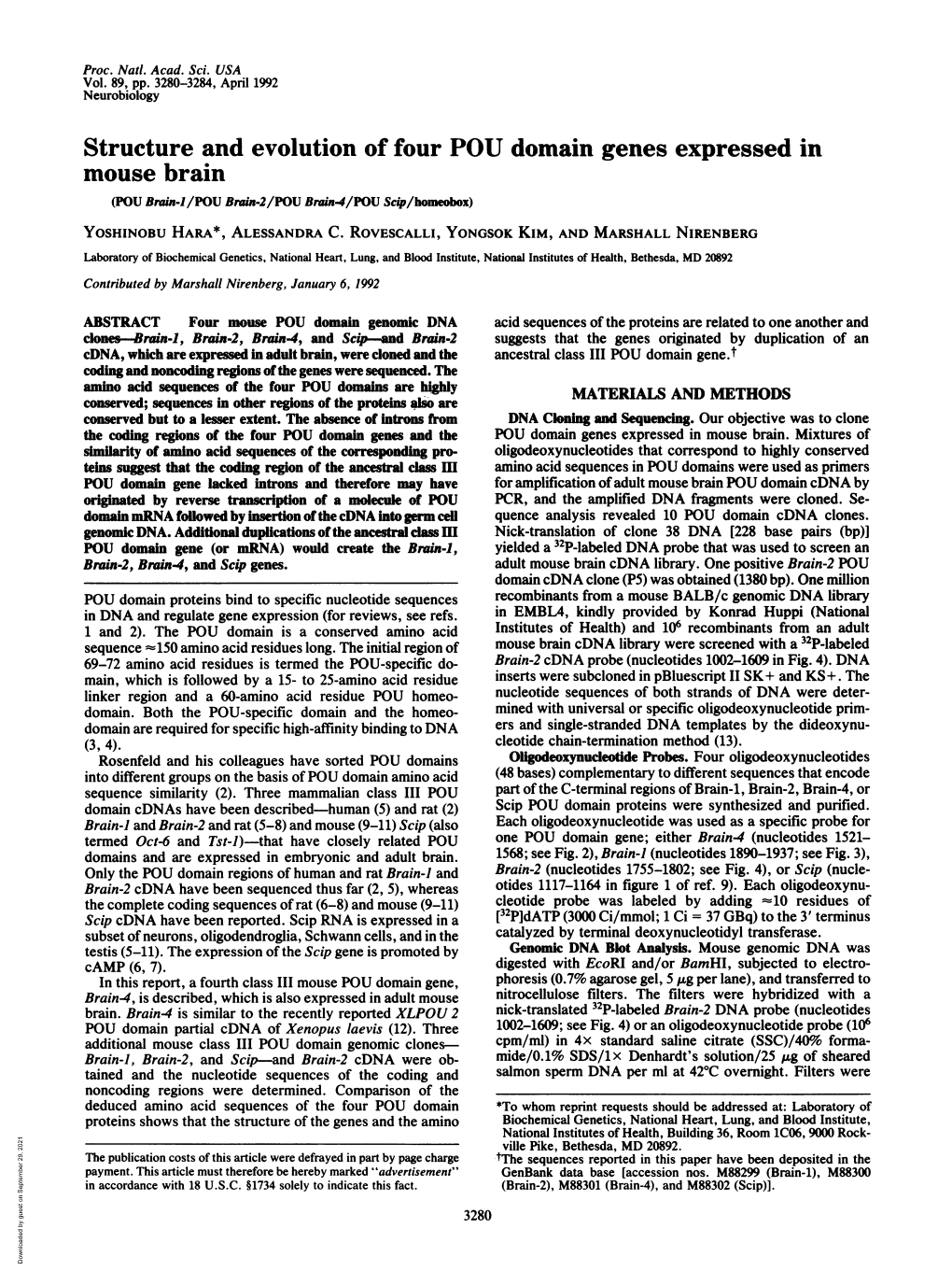 Structure and Evolution of Four POU Domain Genes Expressed in Mouse Brain (POU Bnain-/POU Brain-2/POU Brain4/POU Scip/Homeobox) YOSHINOBU HARA*, ALESSANDRA C