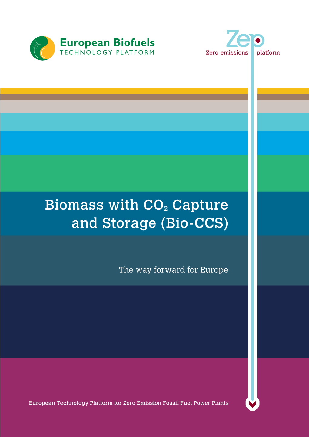 Biomass with CO2 Capture and Storage (Bio-CCS)