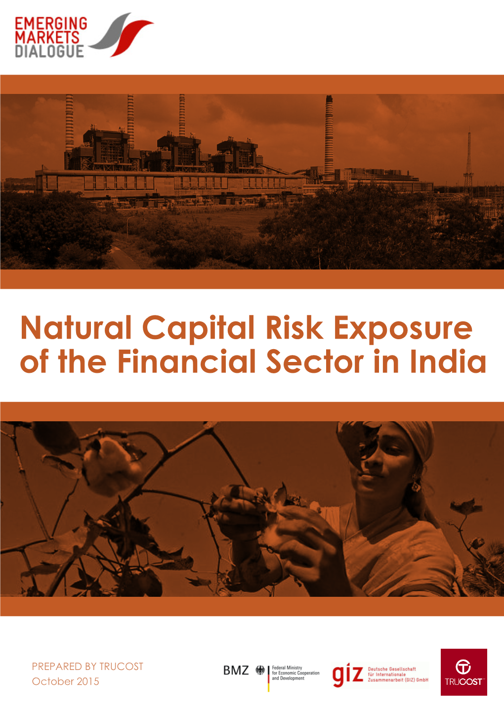 Natural Capital Risk Exposure of the Financial Sector in India