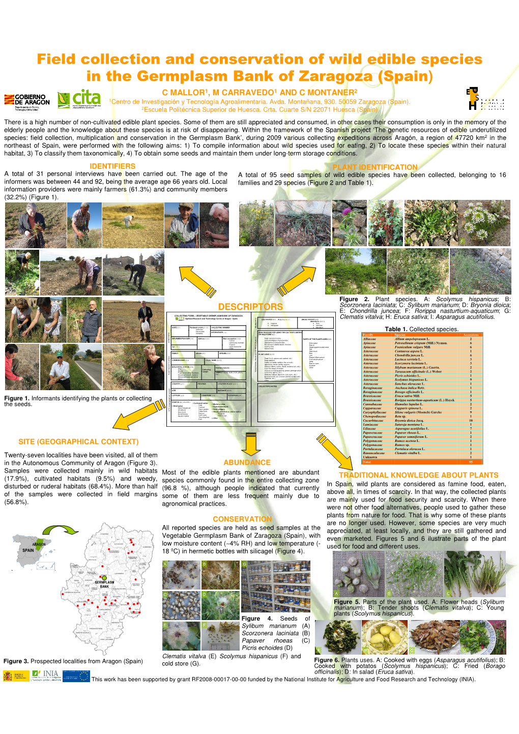 Field Collection and Conservation of Wild Edible Species in The