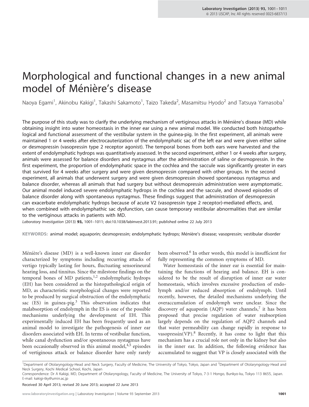 Morphological and Functional Changes in a New Animal Model Of