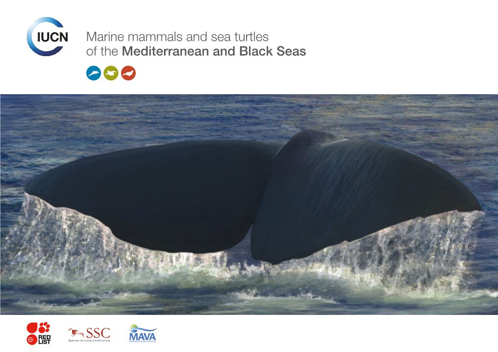 Marine Mammals and Sea Turtles of the Mediterranean and Black Seas