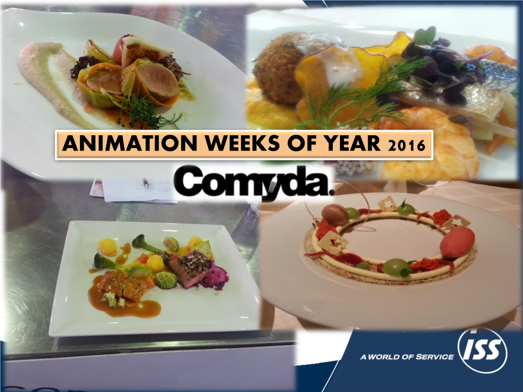 Animation Weeks of Year 2016 Offer: Animation Weeks