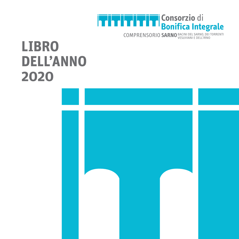 Libro Dell'anno 2020