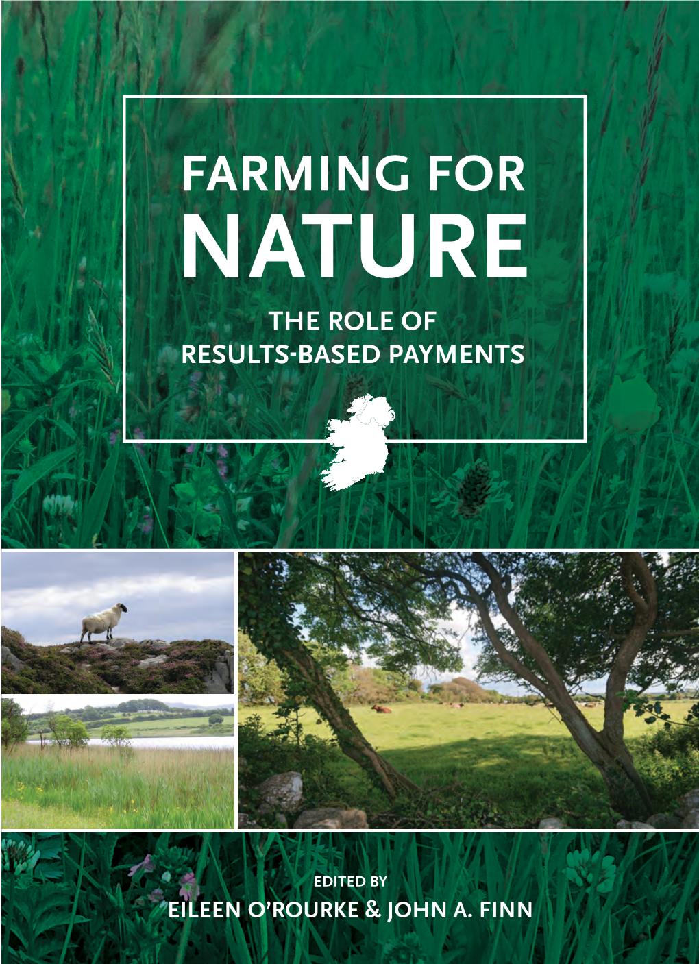 Chapter 4: Farming for Conservation on the Aran Islands