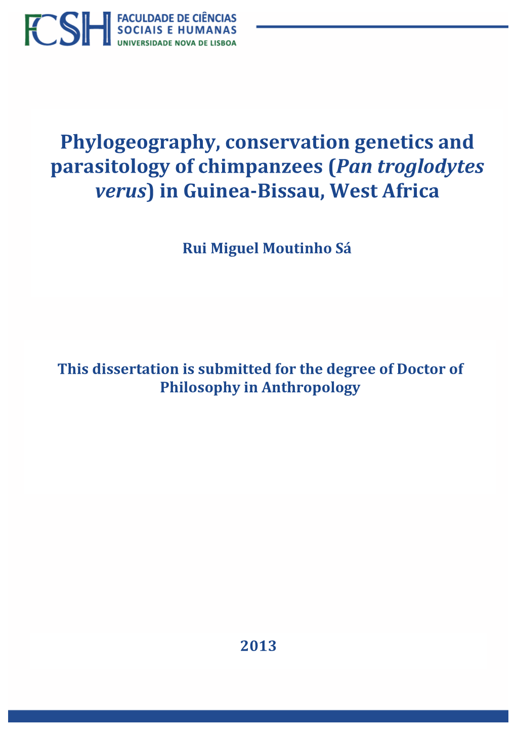 (Pan Troglodytes Verus) in Guinea-Bissau, West Africa