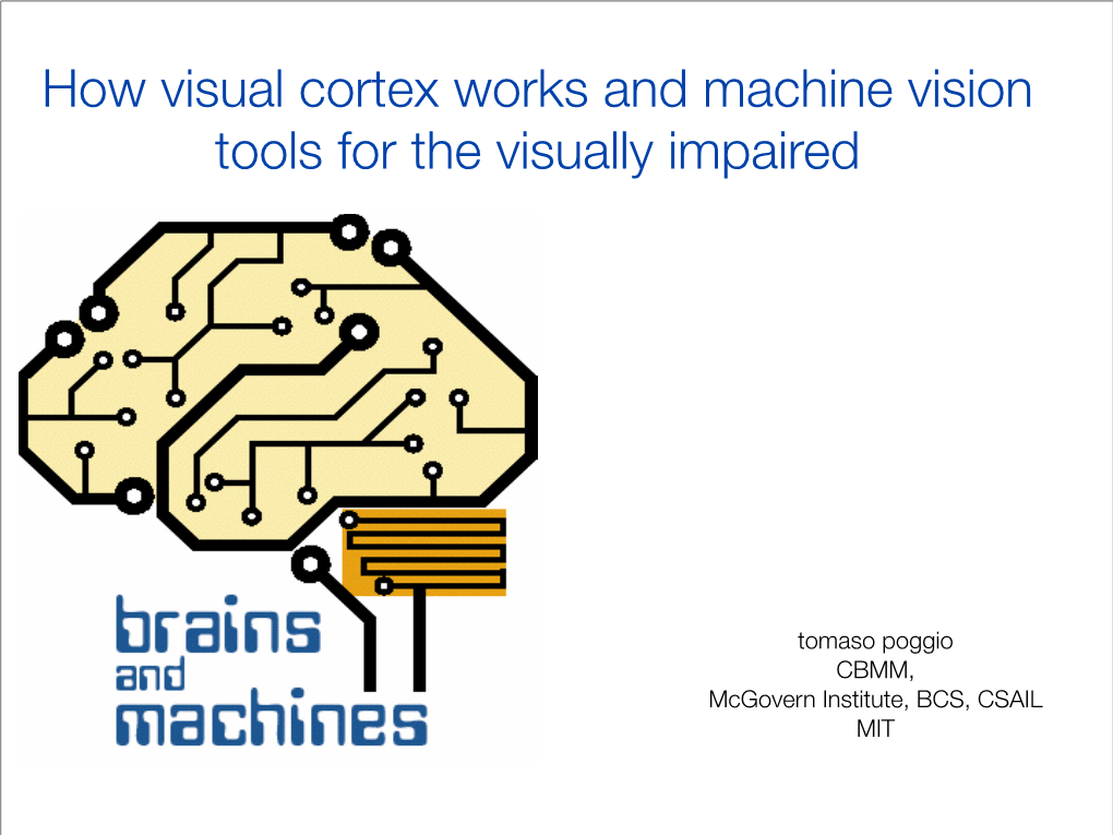 How Visual Cortex Works and Machine Vision Tools for the Visually Impaired
