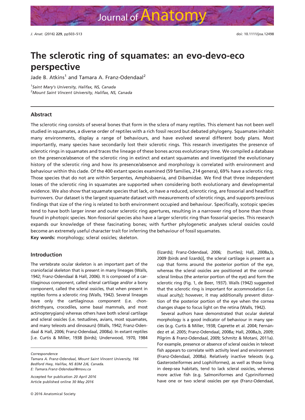 The Sclerotic Ring of Squamates: an Evo‐Devo‐Eco Perspective