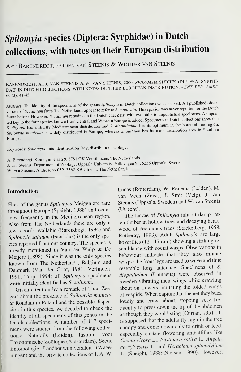 Spilomyia Species (Diptera: Syrphidae) in Dutch Collections, with Notes on Their European Distribution