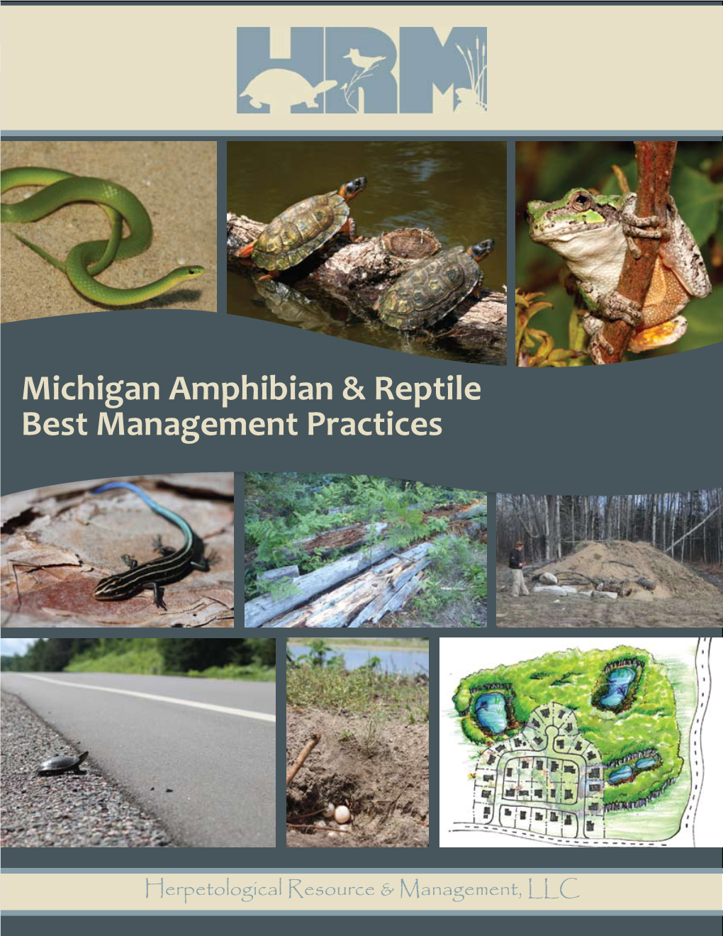 Michigan Amphibian & Reptile Best Management Practices