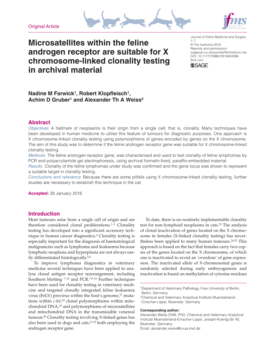 Microsatellites Within the Feline Androgen Receptor Are