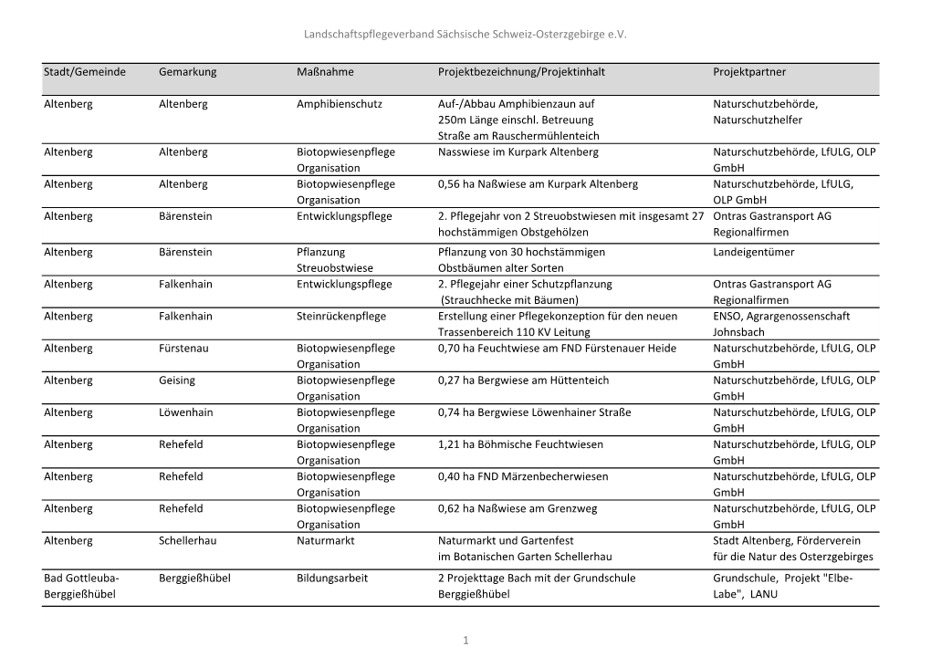 Projektübersicht 2013