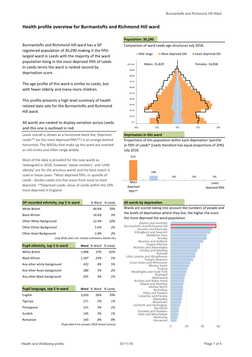 Health Profile Overview for Burmantofts and Richmond Hill Ward