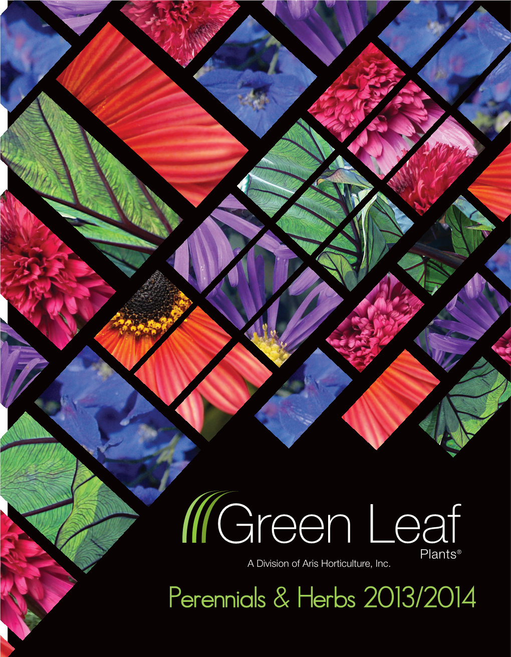 Green Leaf Perennial Catalog.Pdf