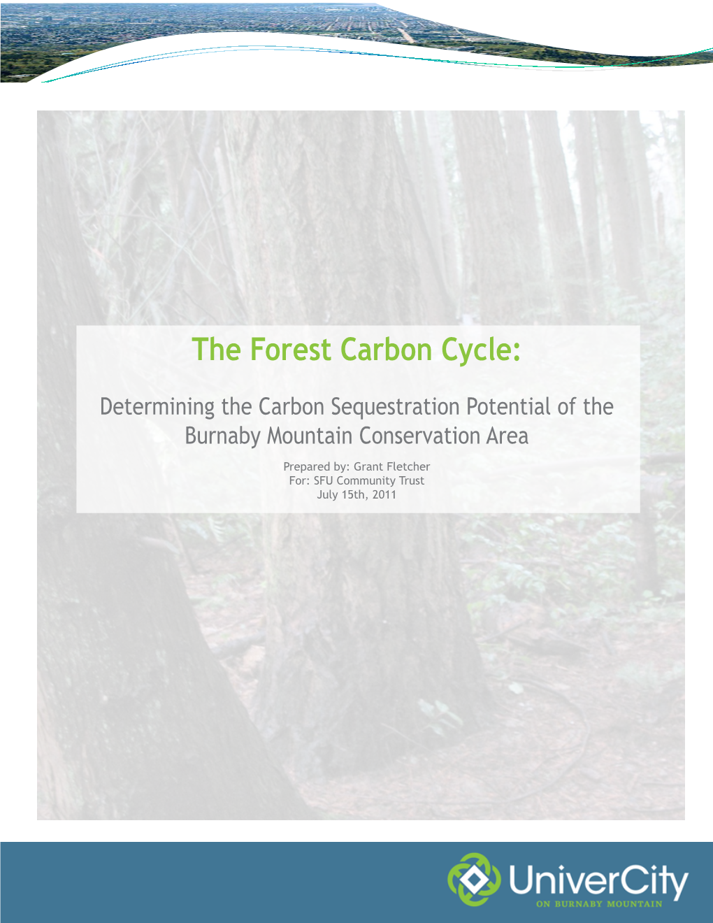 The Forest Carbon Cycle