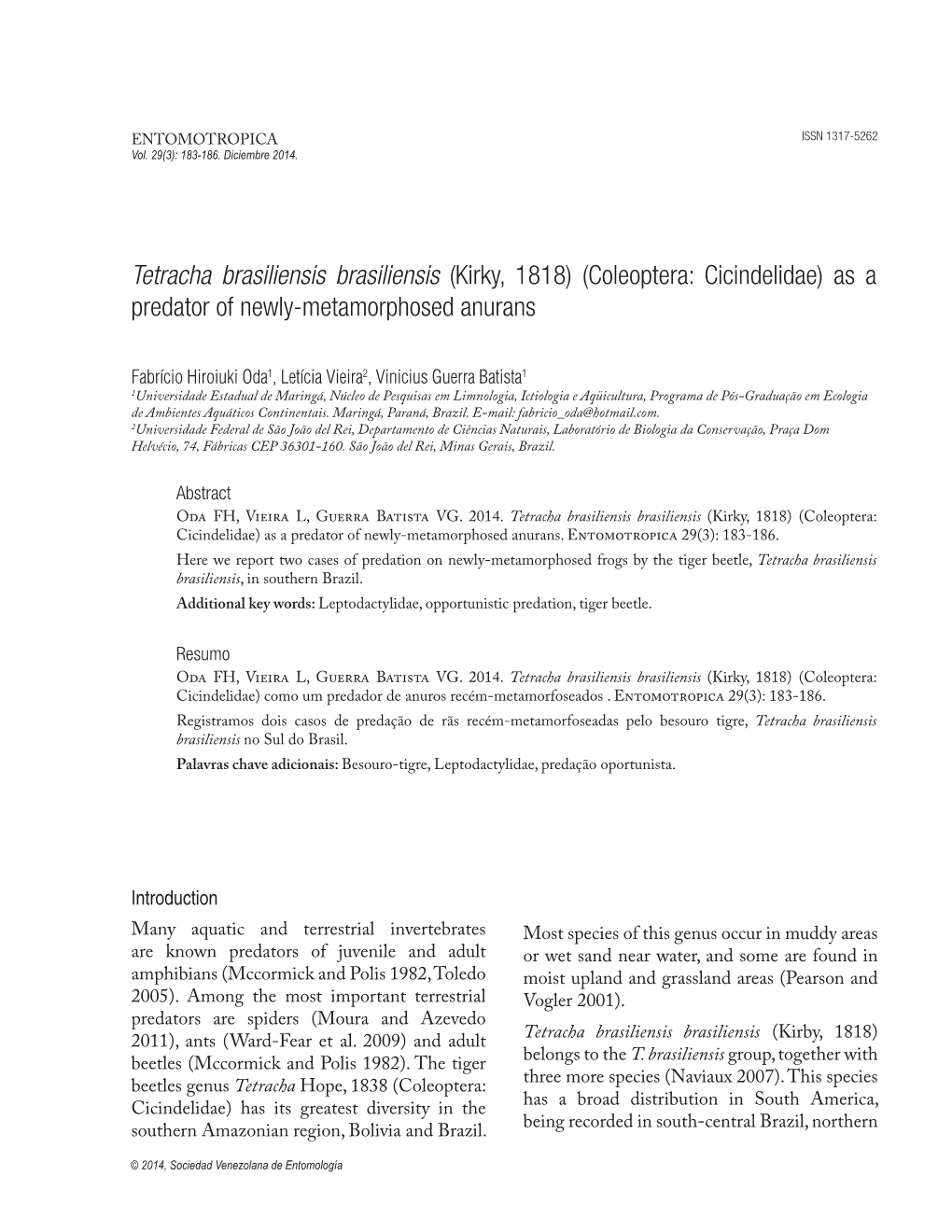 Coleoptera: Cicindelidae) As a Predator of Newly-Metamorphosed Anurans