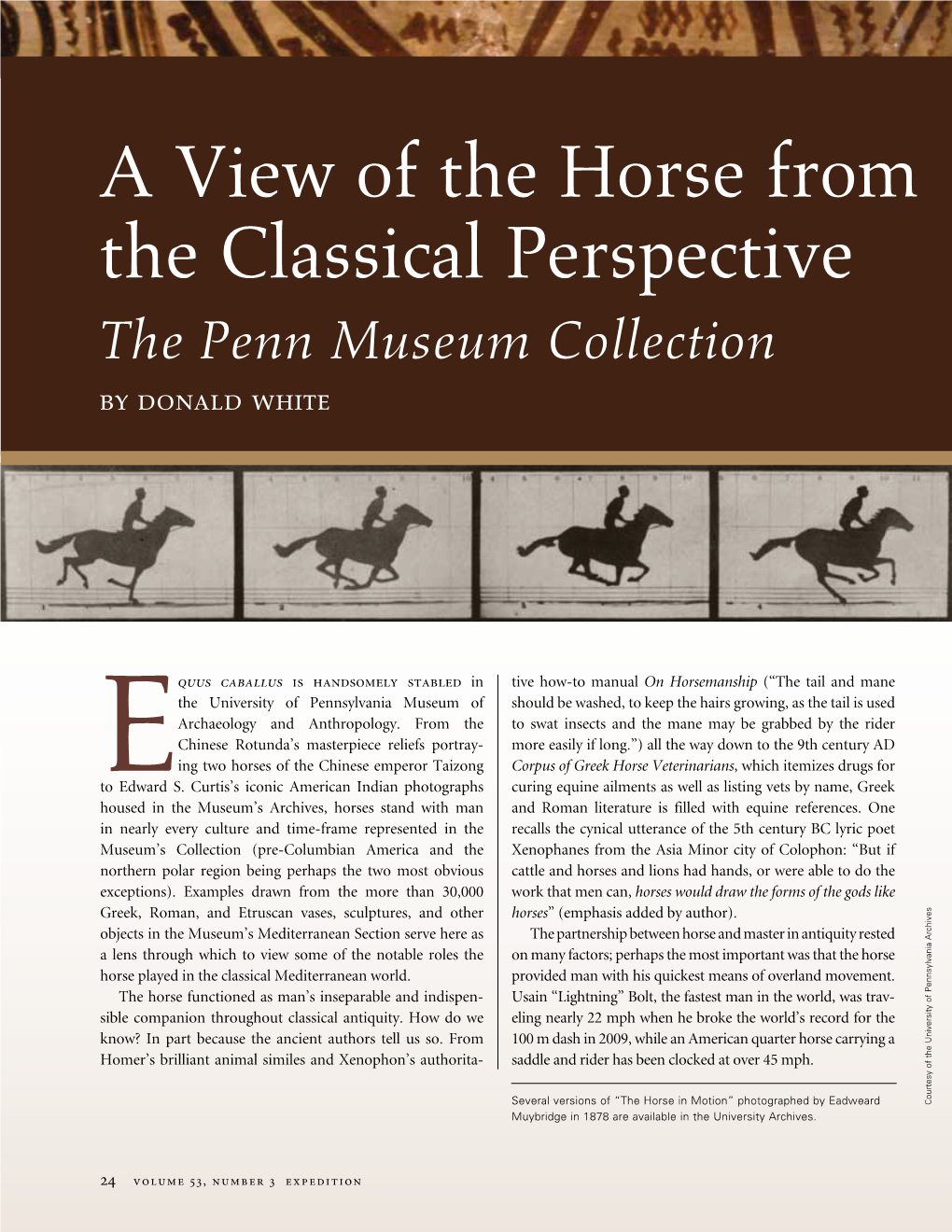 A View of the Horse from the Classical Perspective the Penn Museum Collection by Donald White