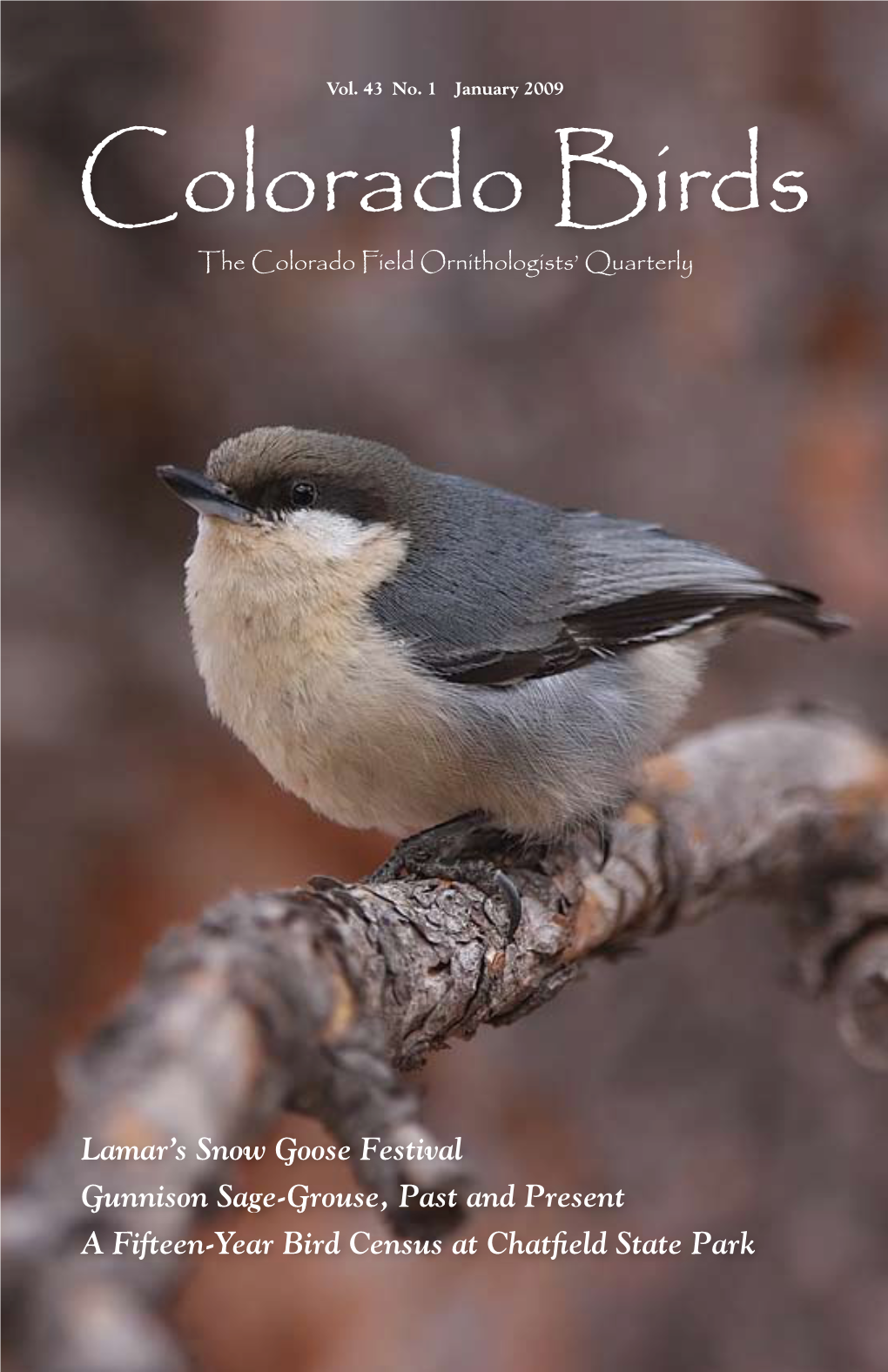 Colorado Birds the Colorado Field Ornithologists’ Quarterly