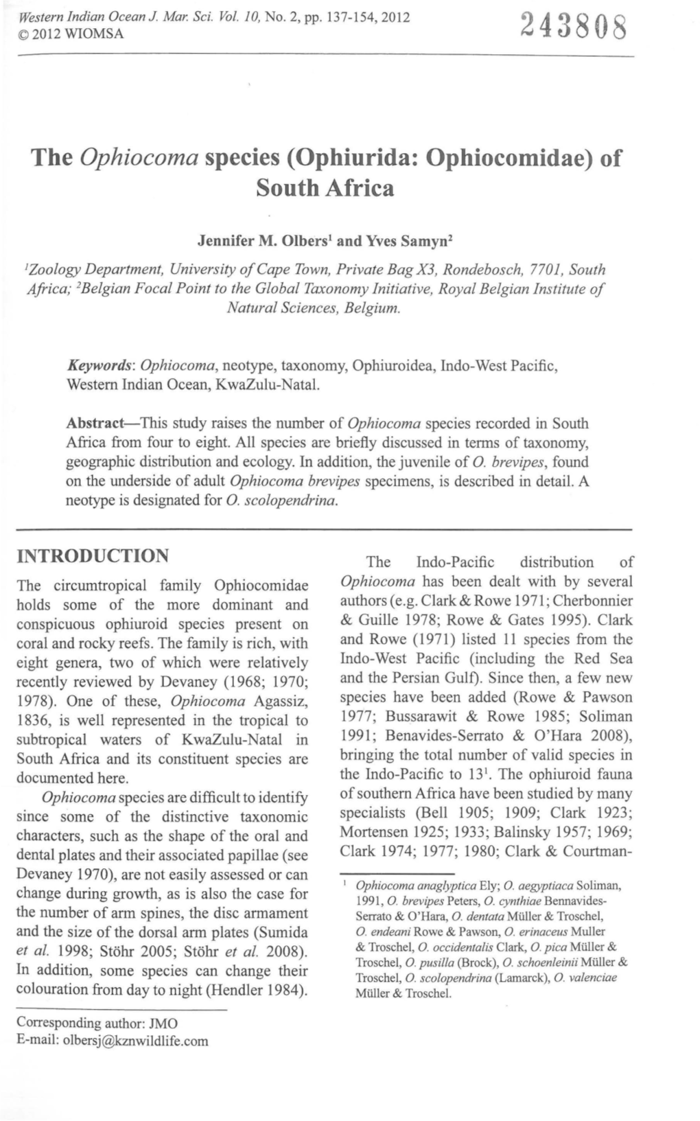 The Ophiocoma Species (Ophiurida: Ophiocomidae) of South Africa