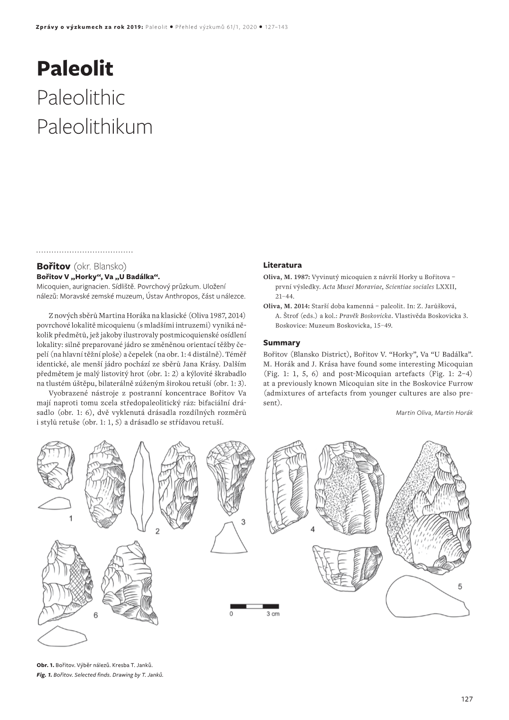 Paleolit Paleolithic Paleolithikum
