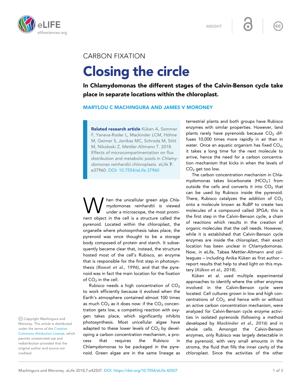 Closing the Circle in Chlamydomonas the Different Stages of the Calvin-Benson Cycle Take Place in Separate Locations Within the Chloroplast