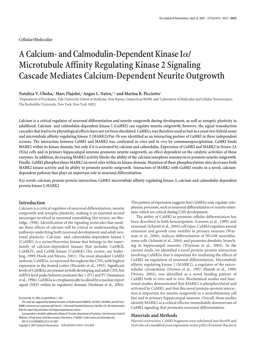 A Calcium- and Calmodulin-Dependent Kinase I␣/ Microtubule Affinity Regulating Kinase 2 Signaling Cascade Mediates Calcium-Dependent Neurite Outgrowth