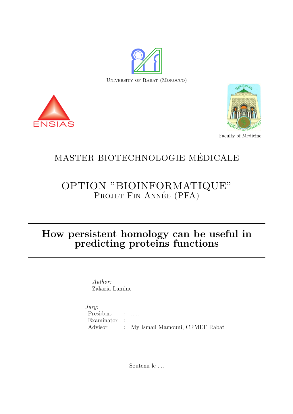 How Persistent Homology Can Be Useful in Predicting Proteins Functions