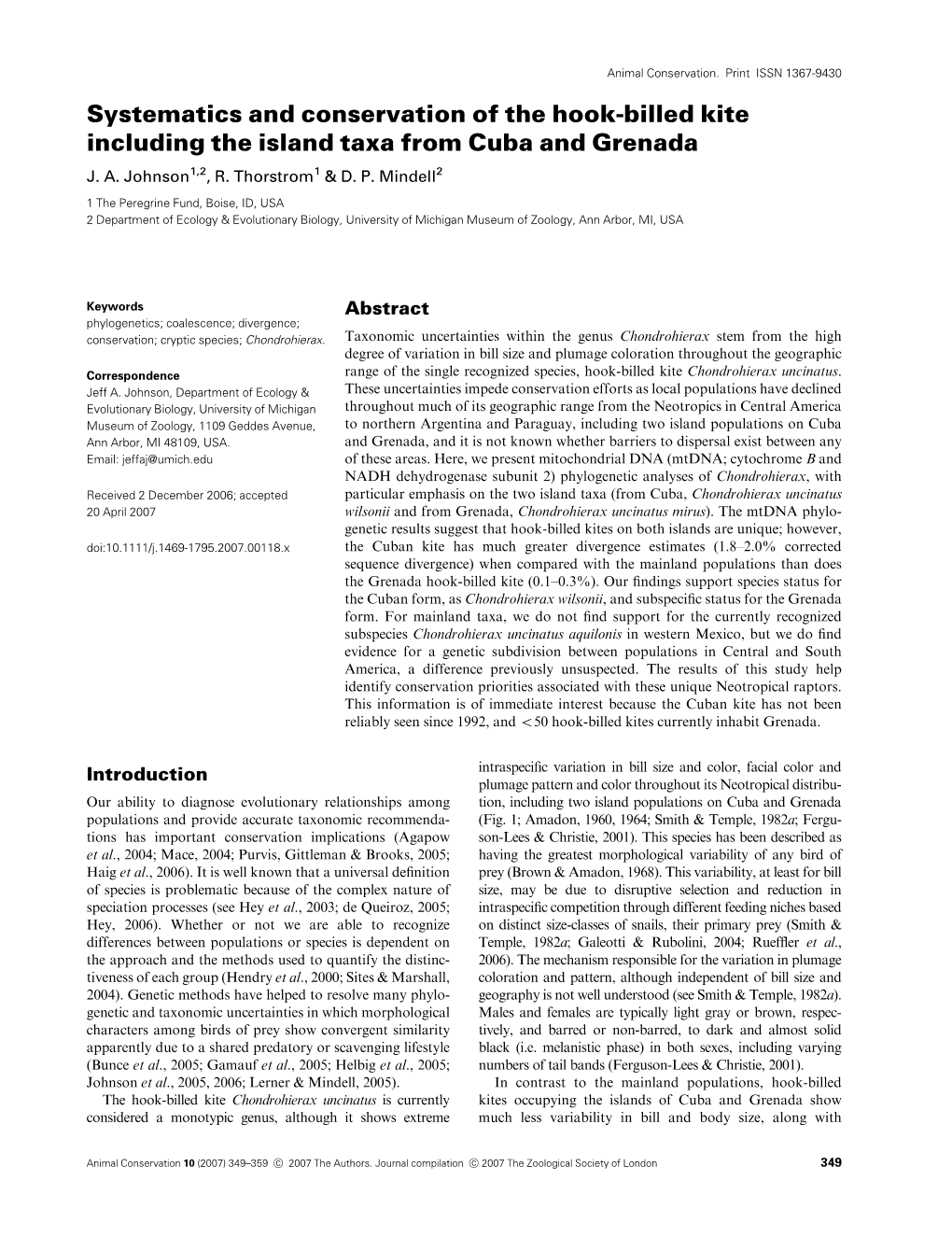 Systematics and Conservation of the Hook-Billed Kite Including the Island Taxa from Cuba and Grenada J