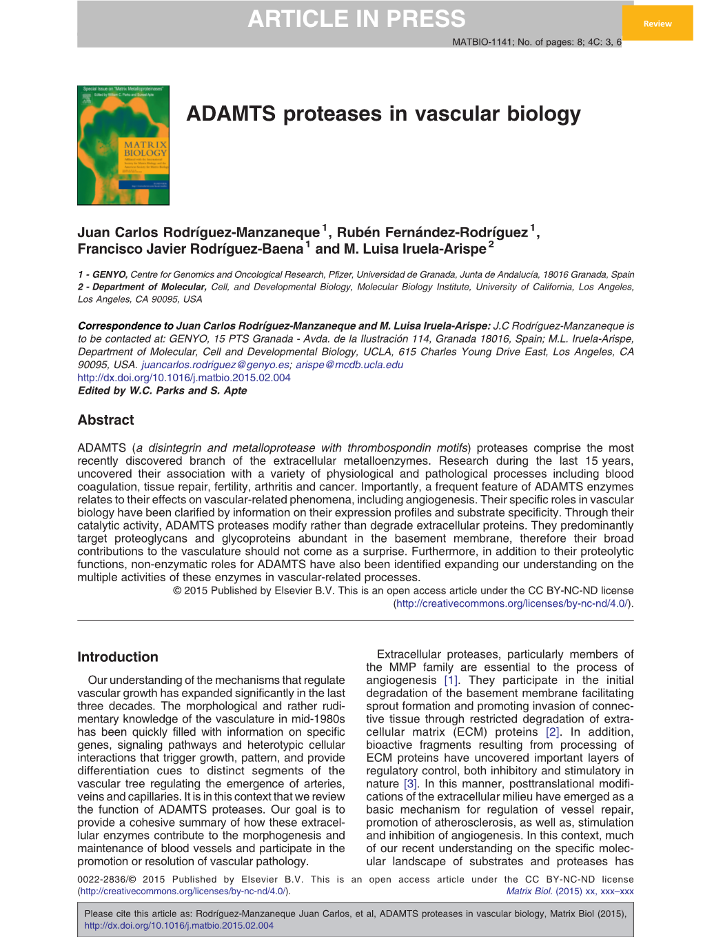 ADAMTS Proteases in Vascular Biology