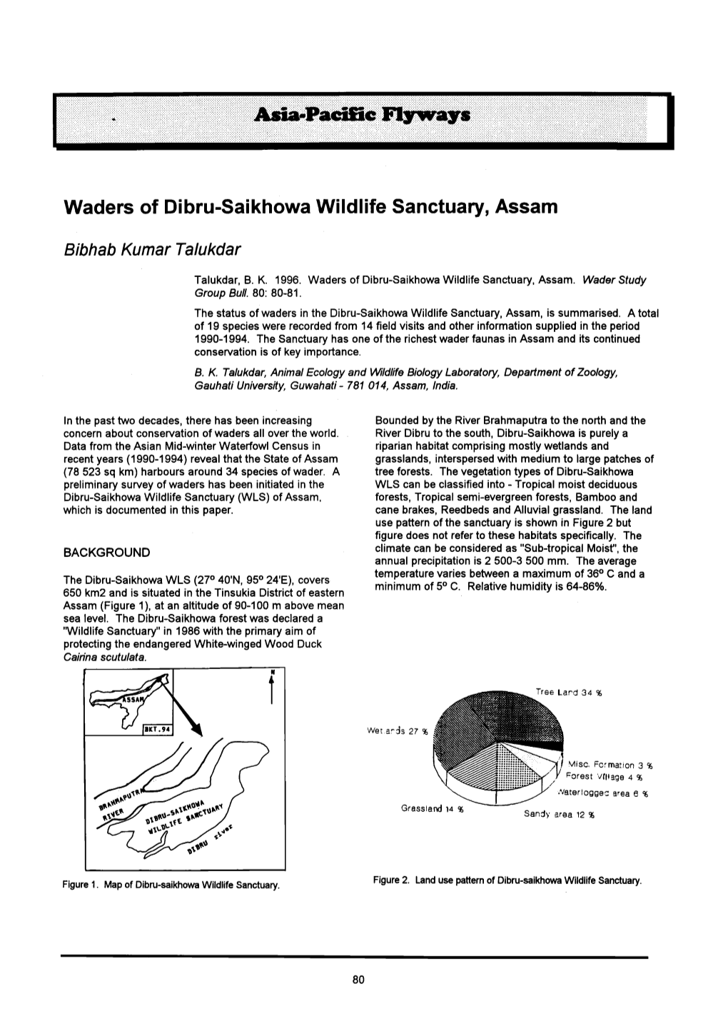 Waders of Dibru&Hyphen;Saikhowa Wildlife Sanctuary, Assam