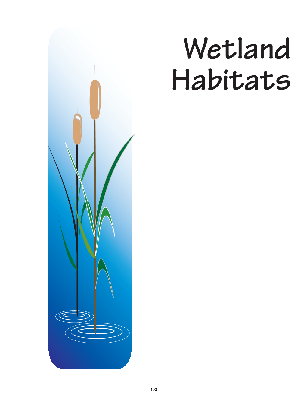 Wetland Habitats